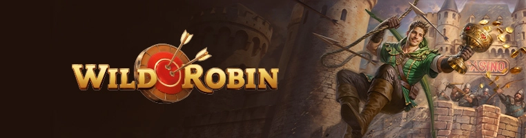 Www casino en ligne sans telechargement net